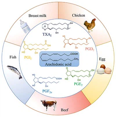 Arachidonic Acid-2 Arachidonic Acid-2