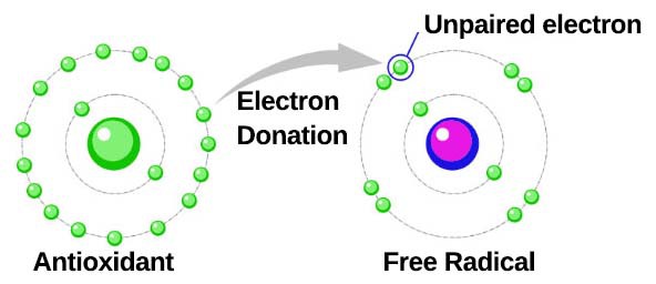 Antioxidants Antioxidants