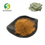 Prášek s extraktem z lotosových listů