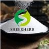 Erythritol Powder