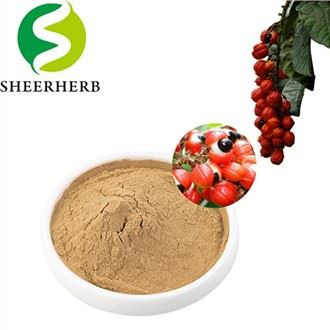 Nutricosts Guarana Powder