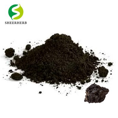 Extrakt Shilajit